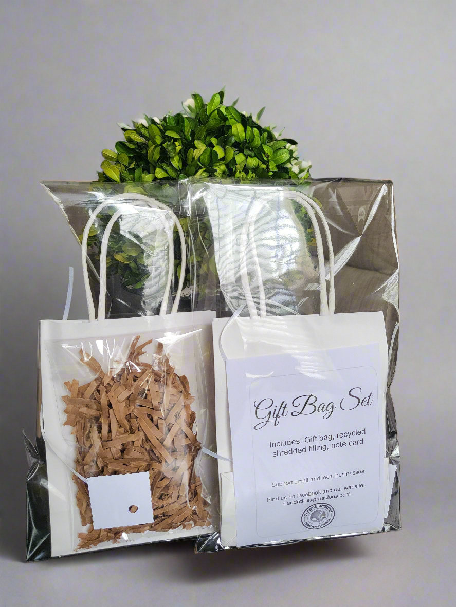 Gift Bag Set