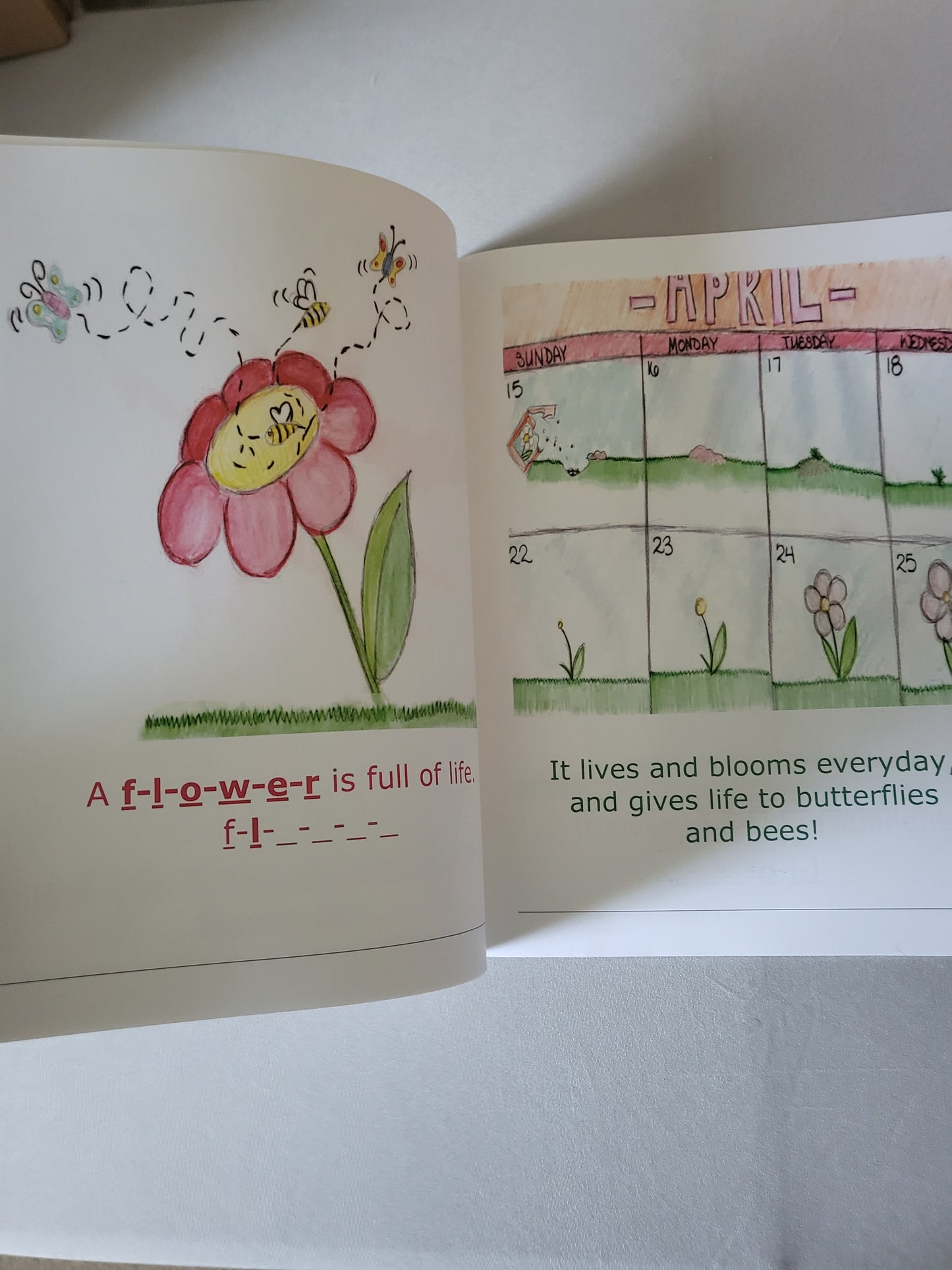 The Wonderful Things About a Flower